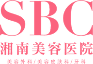 SBC Logo