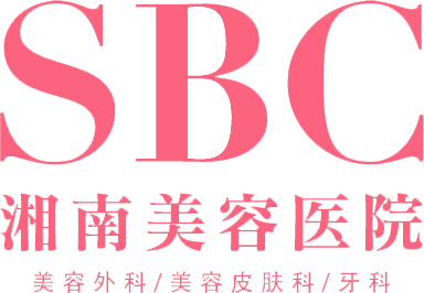 SBC Logo